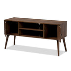 Carson Carrington Batnaset Mid-century Modern 2-door TV Stand