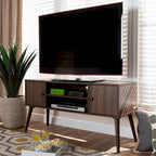Carson Carrington Batnaset Mid-century Modern 2-door TV Stand