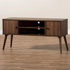Carson Carrington Batnaset Mid-century Modern 2-door TV Stand