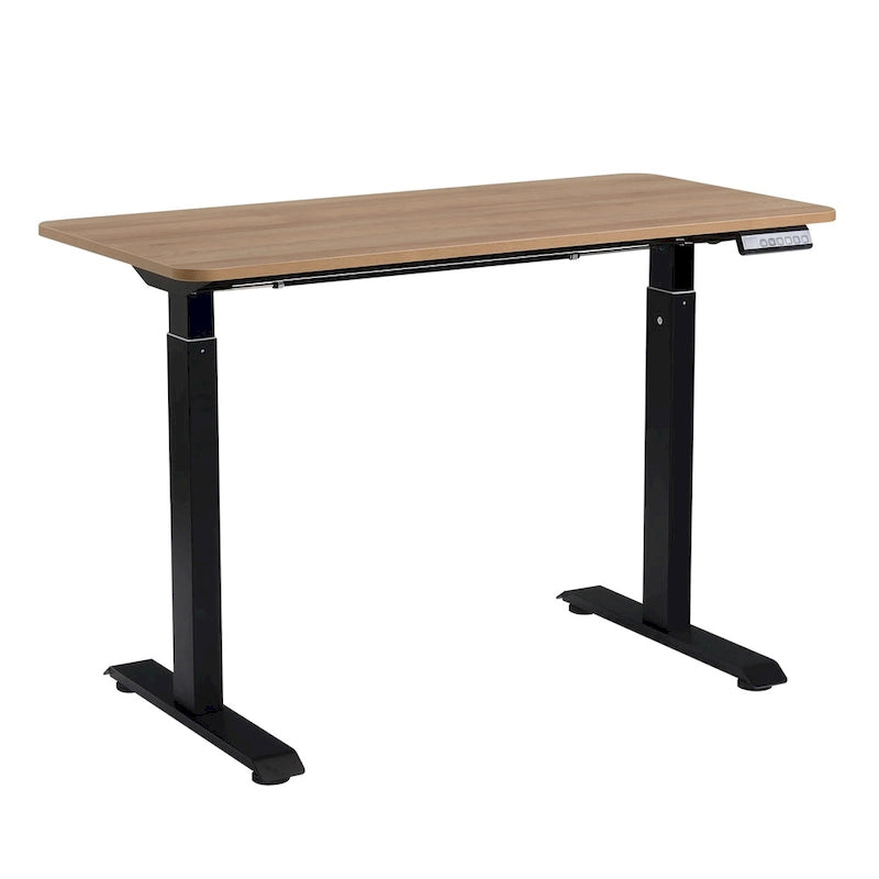 Electric Standing Desk