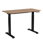 Electric Standing Desk