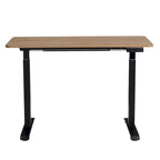Electric Standing Desk