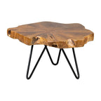 Live Edge Teak Riser With Iron Base by East at Main